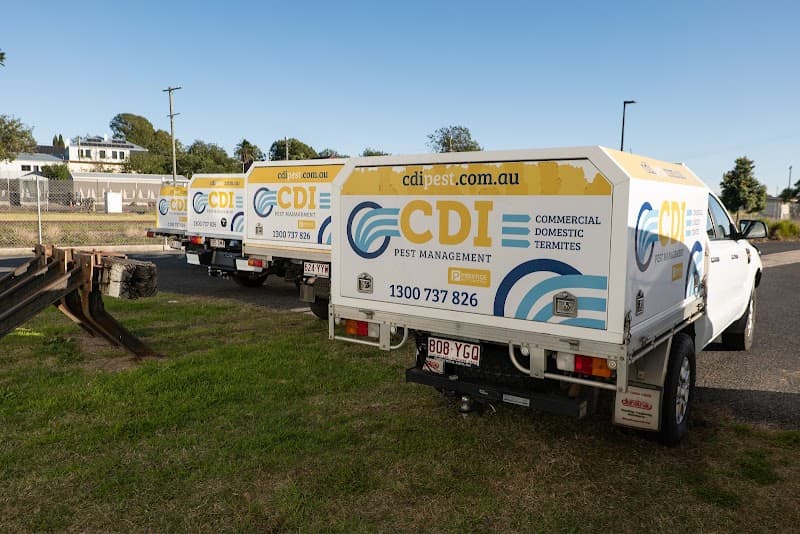 CDI Pest Management - Toowoomba pest control work in Wilsonton