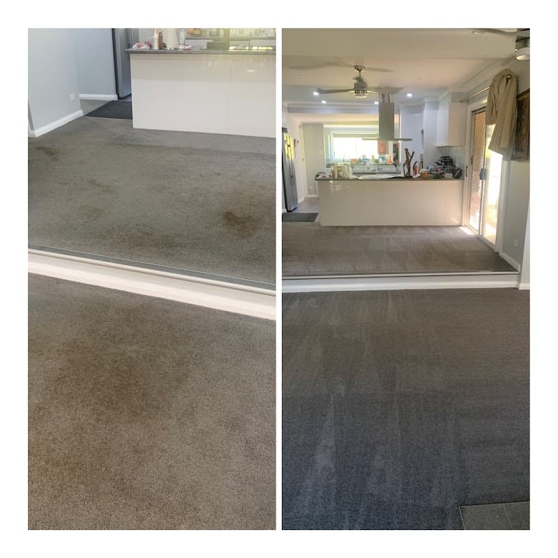 central coast carpet care carpet cleaning work in Tacoma South