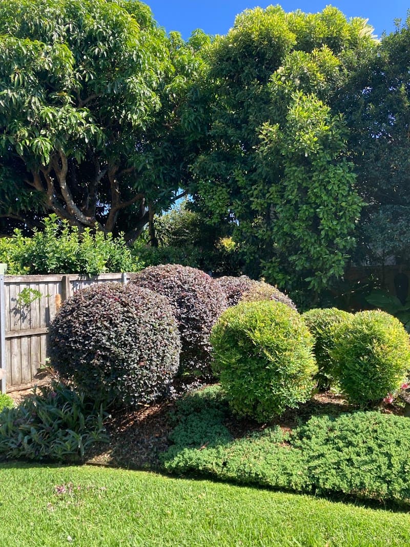 CENTRAL COAST KERB APPEAL gardening work in West Gosford