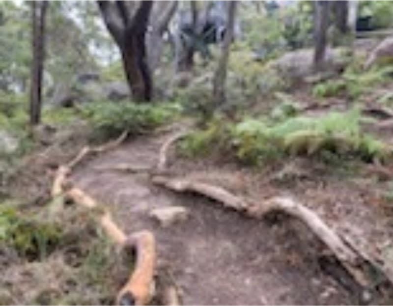 Central Coast Outdoor Solutions gardening work in Woy Woy