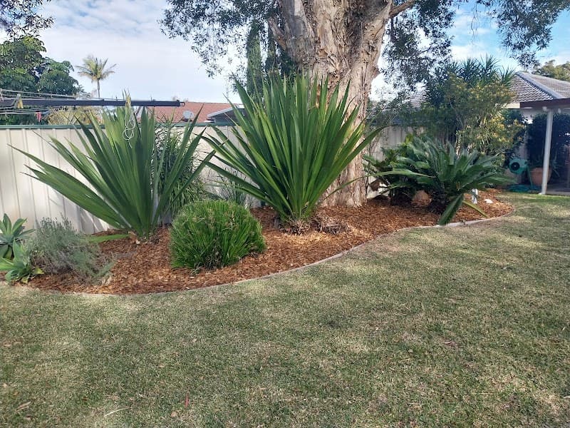 Central Coast Outdoor Solutions gardening work in Woy Woy