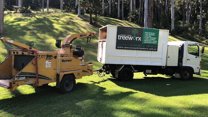 Central Coast Treeworx tree services work in Berkeley Vale