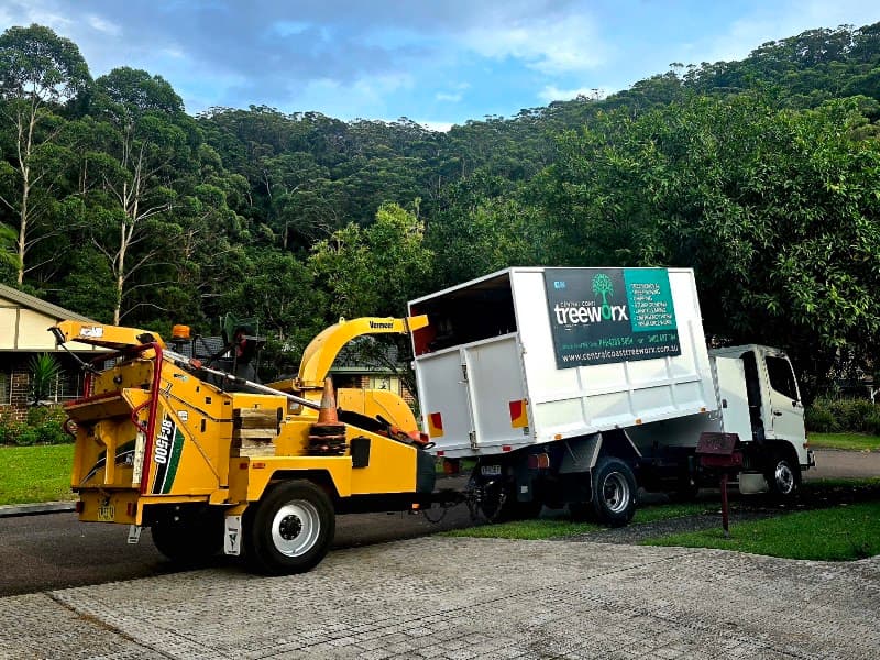 Central Coast Treeworx tree services work in Berkeley Vale