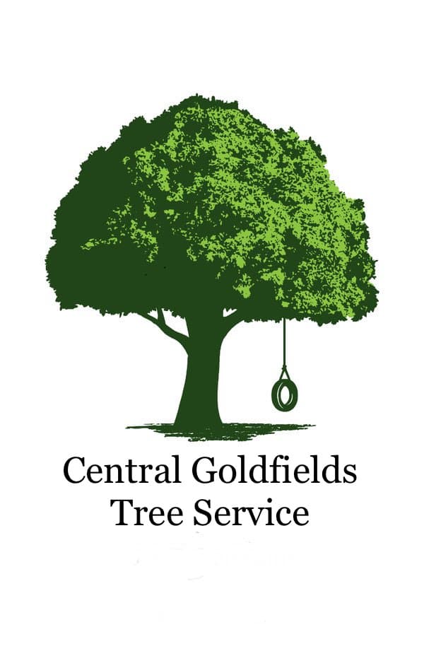 Central Goldfield’s Tree Service tree services work in Elphinstone