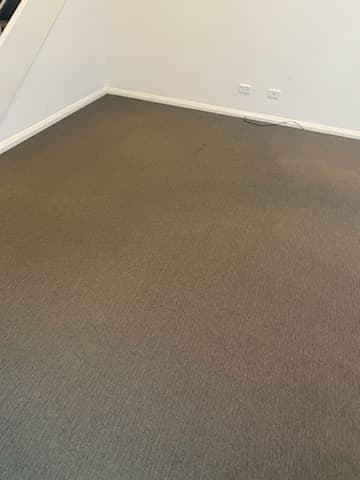 Cezar Carpet Cleaning carpet cleaning work in Clarkson