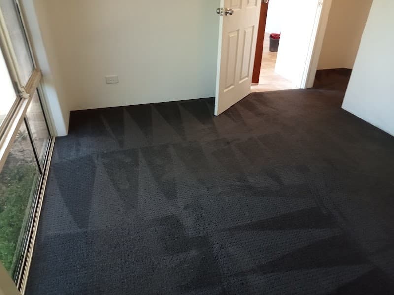 Cezar Carpet Cleaning carpet cleaning work in Clarkson