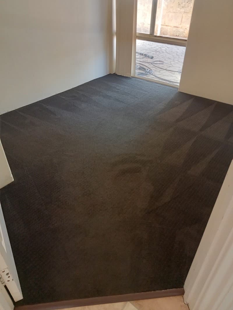 Cezar Carpet Cleaning carpet cleaning work in Clarkson