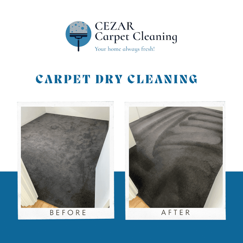 Cezar Carpet Cleaning carpet cleaning work in Clarkson