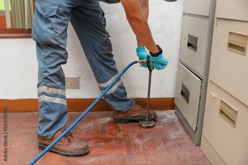 Challenge Pest Control pest control work in null