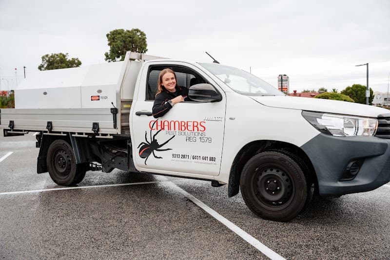 Chambers Pest Solutions pest control work in Hillarys