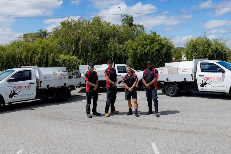 Chambers Pest Solutions pest control work in Hillarys