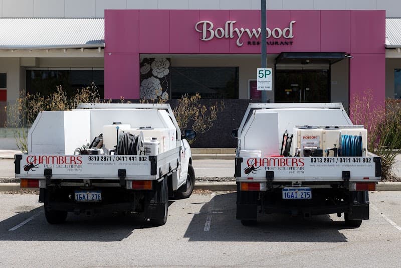 Chambers Pest Solutions pest control work in Hillarys