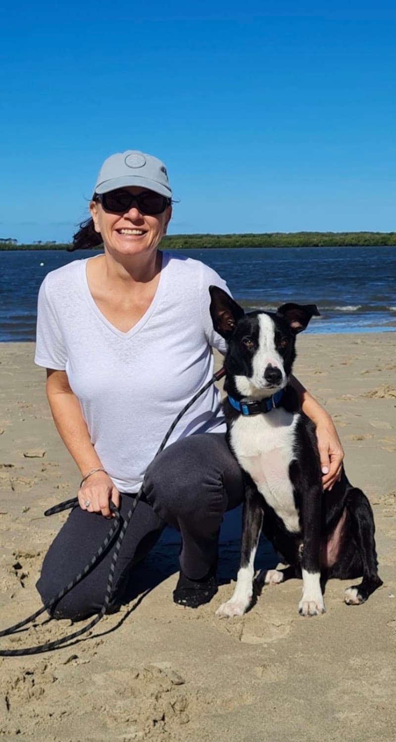Charlie's Dog Training & Obedience - Dog Training Brisbane dog training work in Griffin