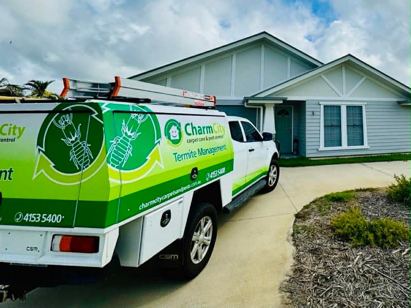 Charm City Carpet Care & Pest Control - Termite Management carpet cleaning work in Innes Park
