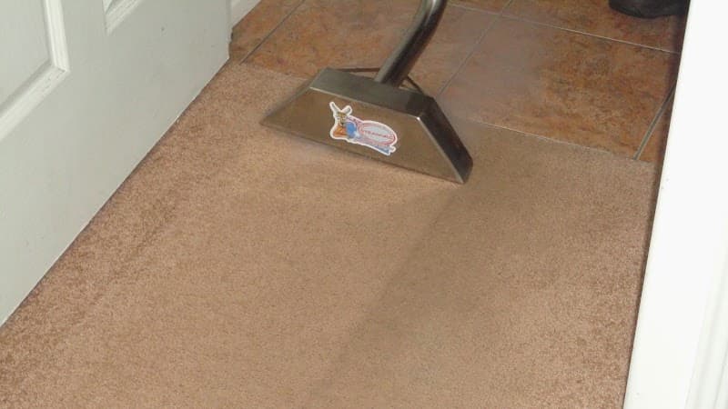 Charm City Carpet Care & Pest Control - Termite Management carpet cleaning work in Innes Park