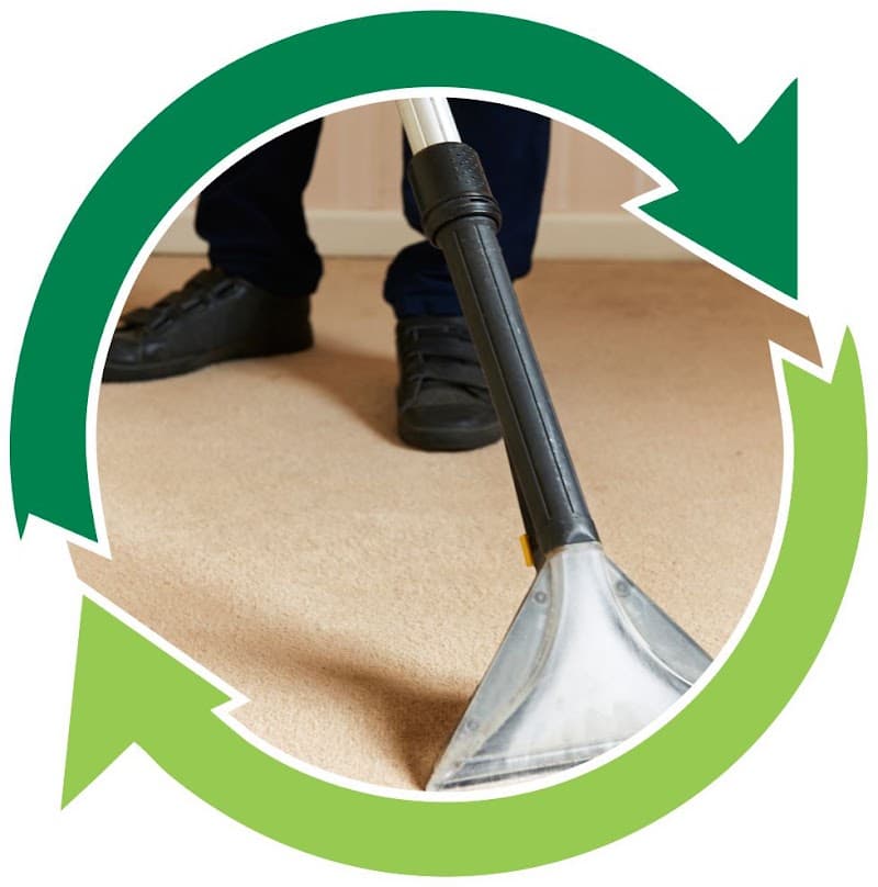 Charm City Carpet Care & Pest Control - Termite Management carpet cleaning work in Innes Park