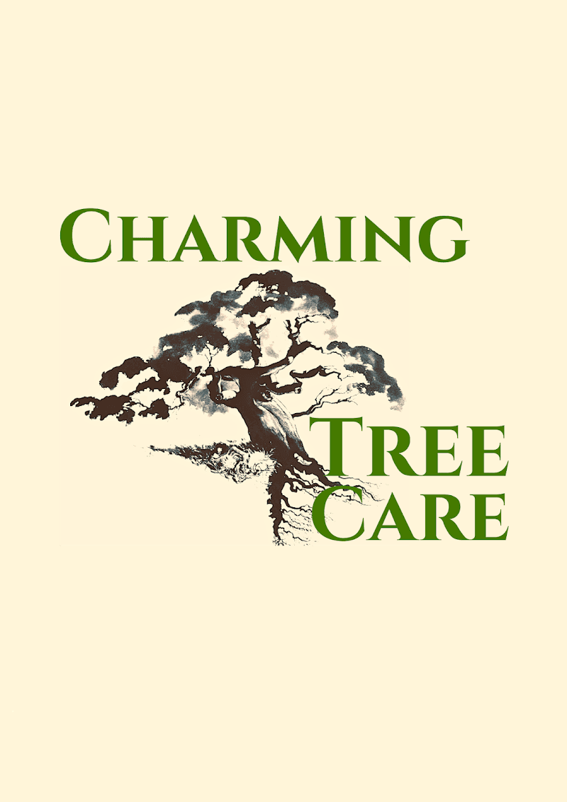 Charming Tree Care tree services work in Kirribilli