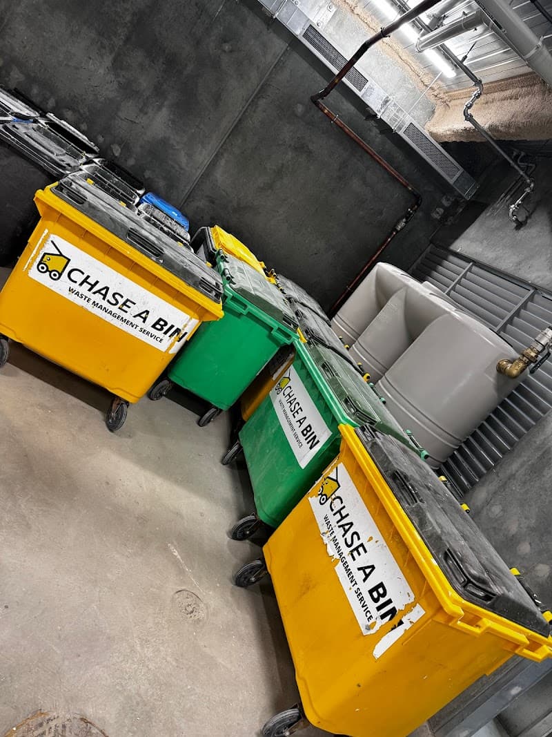 Chase a bin rubbish removal work in Glenelg East