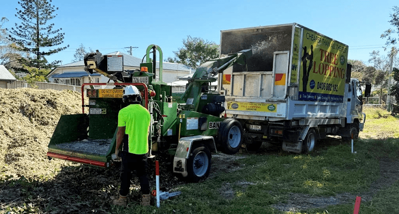 Cheaper Than All The Rest Tree Lopping tree services work in Upper Mount Gravatt