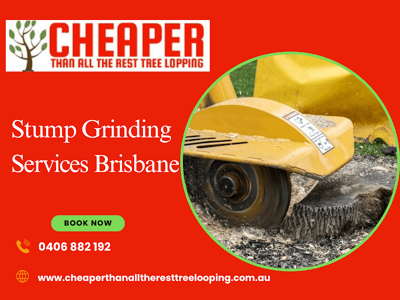 Cheaper Than All The Rest Tree Lopping tree services work in Upper Mount Gravatt