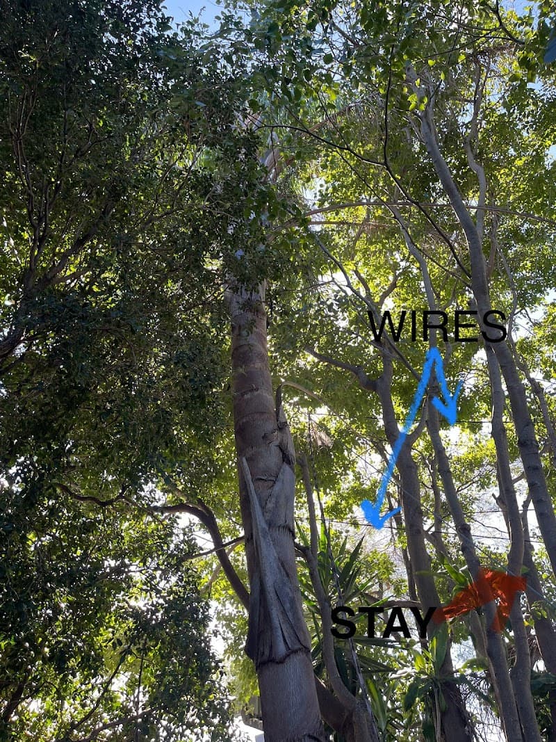 Cheaper Than All The Rest Tree Lopping tree services work in Upper Mount Gravatt
