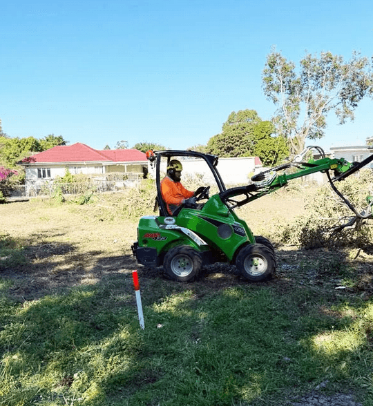 Cheaper Than All The Rest Tree Lopping tree services work in Upper Mount Gravatt