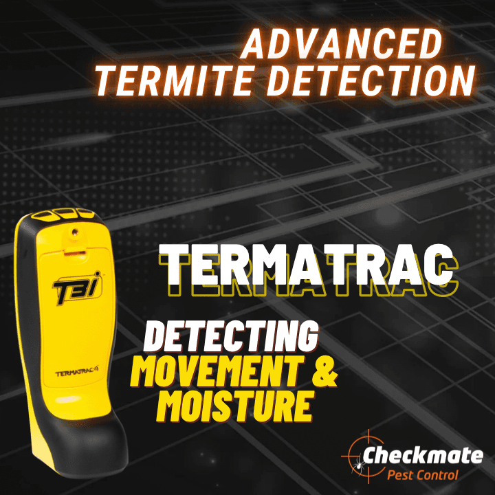 Checkmate Pest Control pest control work in Hillcrest