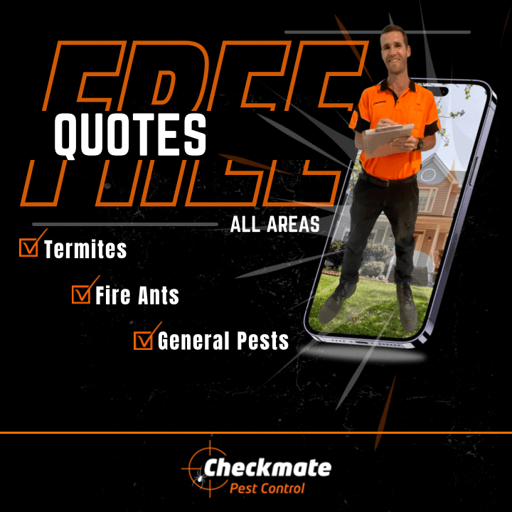 Checkmate Pest Control pest control work in Hillcrest