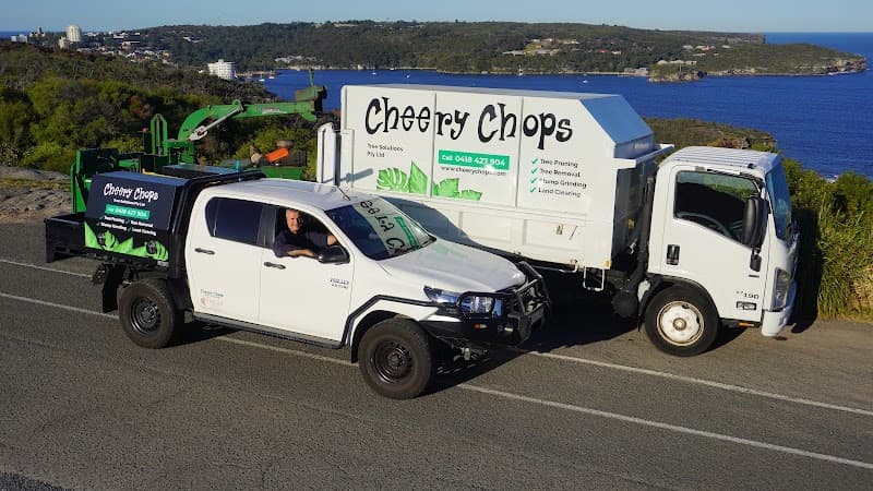 Cheery Chops Tree Solutions tree services work in Manly Vale