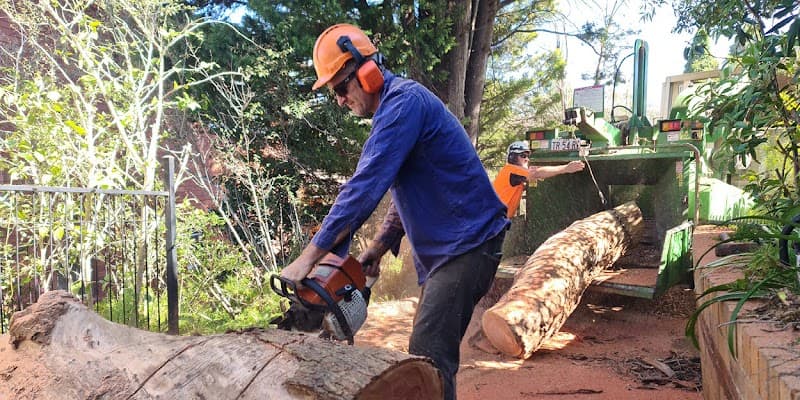 Cheery Chops Tree Solutions tree services work in Manly Vale