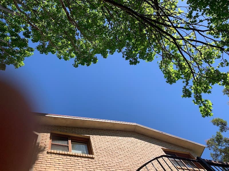Cheery Chops Tree Solutions tree services work in Manly Vale