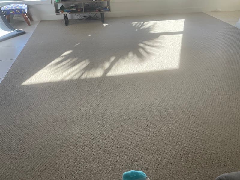 Chem-Dry Cleaner Carpets carpet cleaning work in Longford