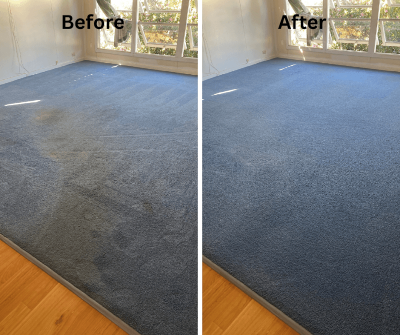 Chem-Dry Platinum carpet cleaning work in Park Avenue