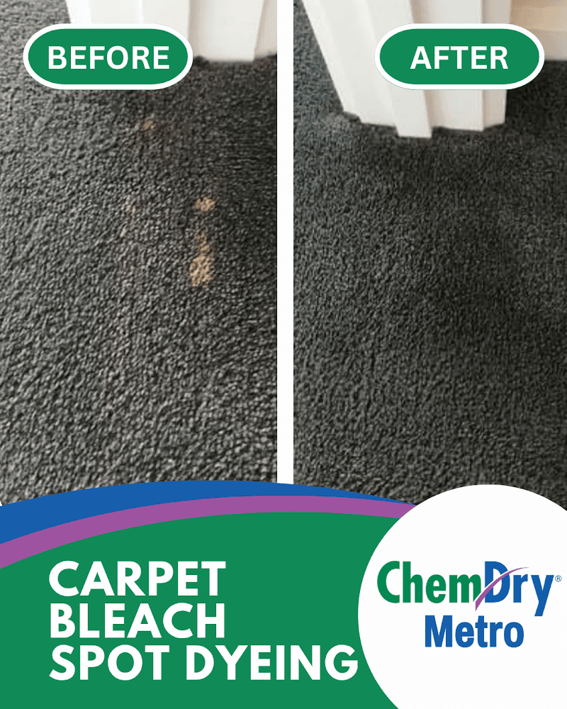 ChemDry Metro Carpet Cleaning Melbourne carpet cleaning work in Melbourne