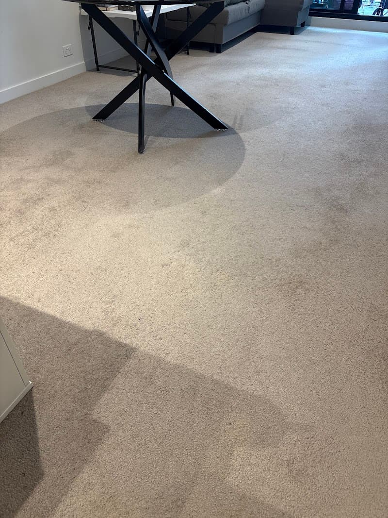 ChemDry Metro Carpet Cleaning Melbourne carpet cleaning work in Melbourne