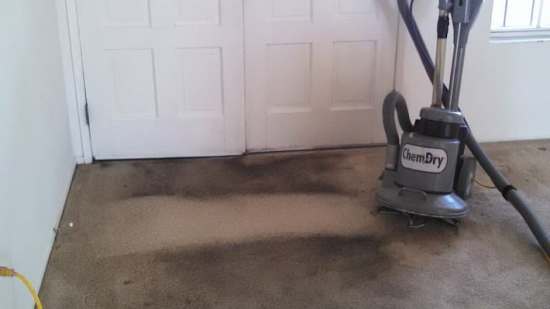 ChemDry Metro Carpet Cleaning Melbourne carpet cleaning work in Melbourne