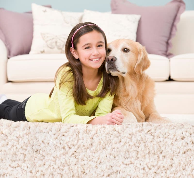Chemdry Quick Dry carpet cleaning work in Langwarrin