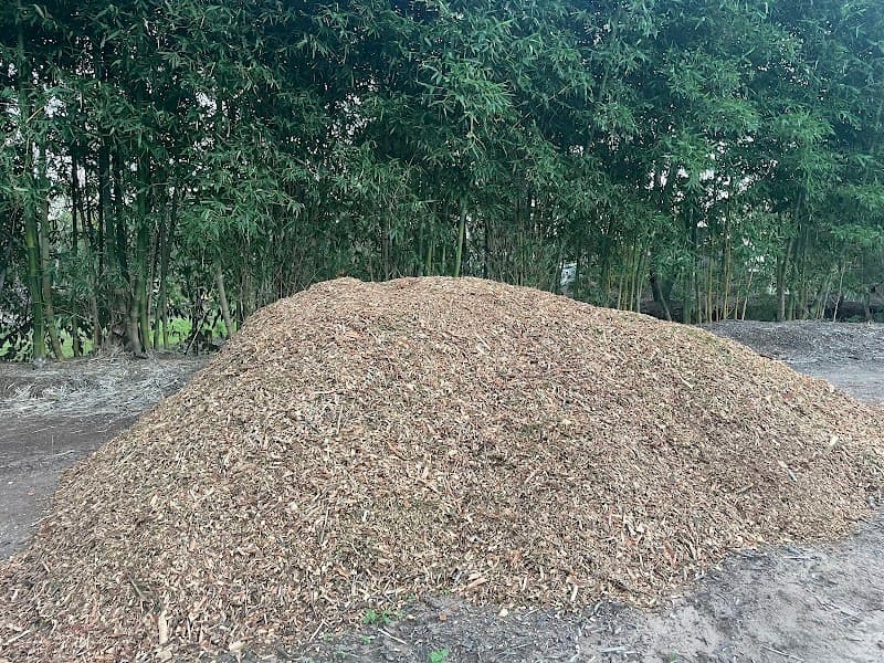 Childers Tree Service tree services work in Redridge