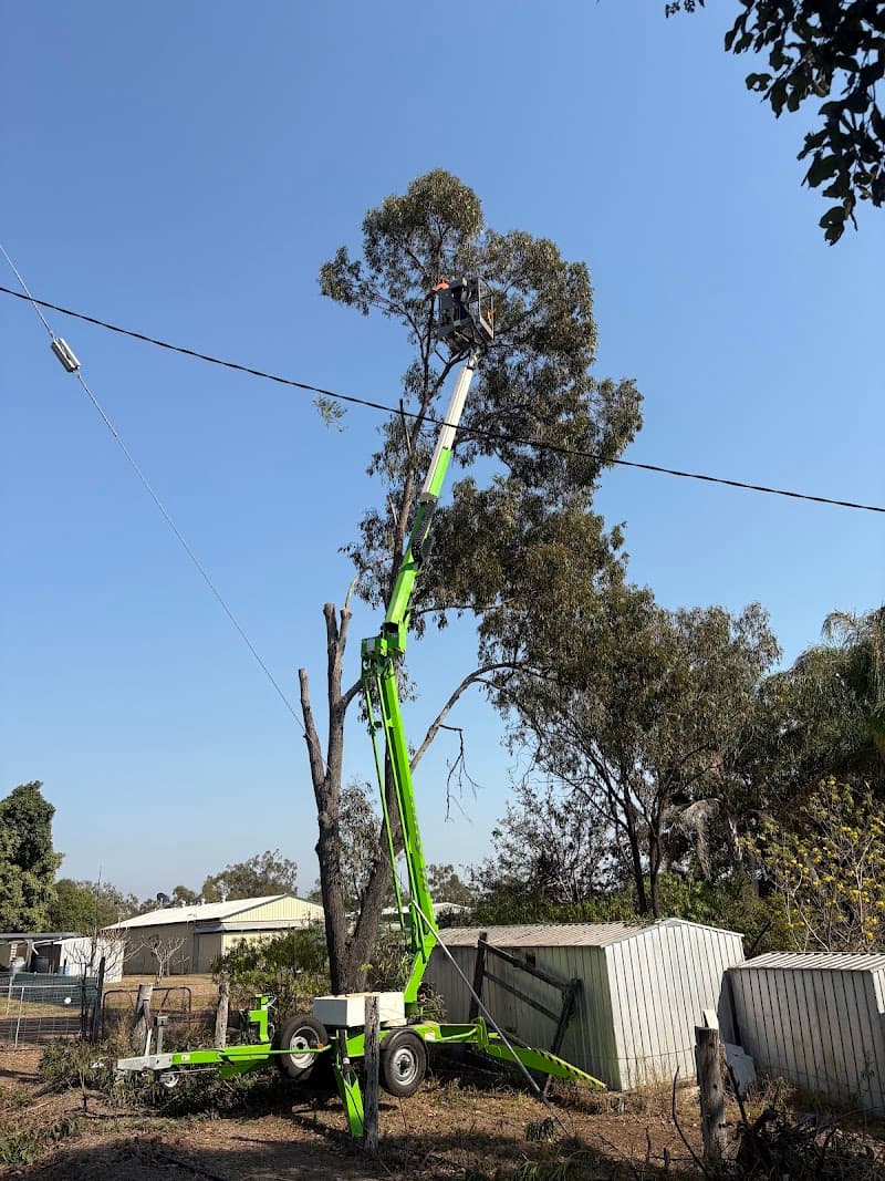 Childers Tree Service tree services work in Redridge