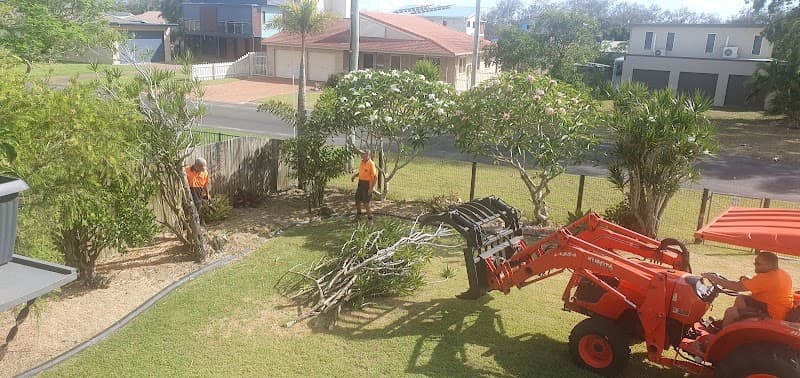 Childers Tree Service tree services work in Redridge