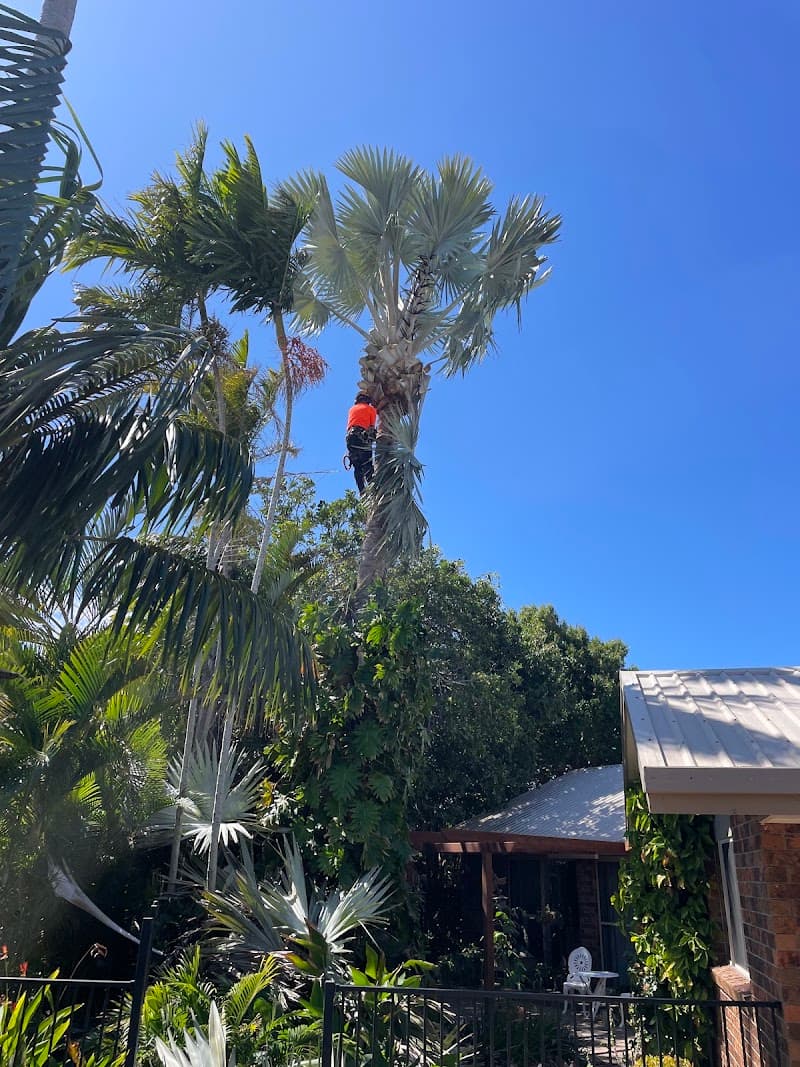 Childers Tree Service tree services work in Redridge