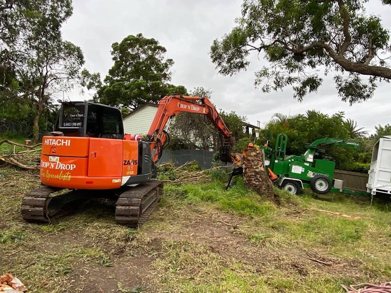 Chop n Drop Tree Specialists tree services work in Belmont