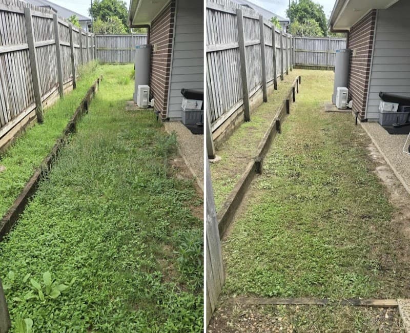 Christel clear lawn service lawn care work in Rathmines