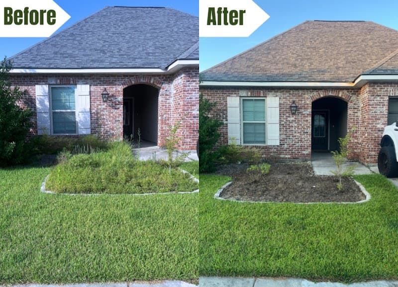 Christel clear lawn service lawn care work in Rathmines