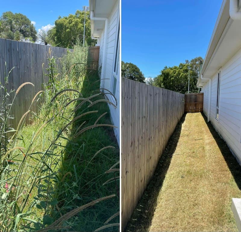 Christel clear lawn service lawn care work in Rathmines