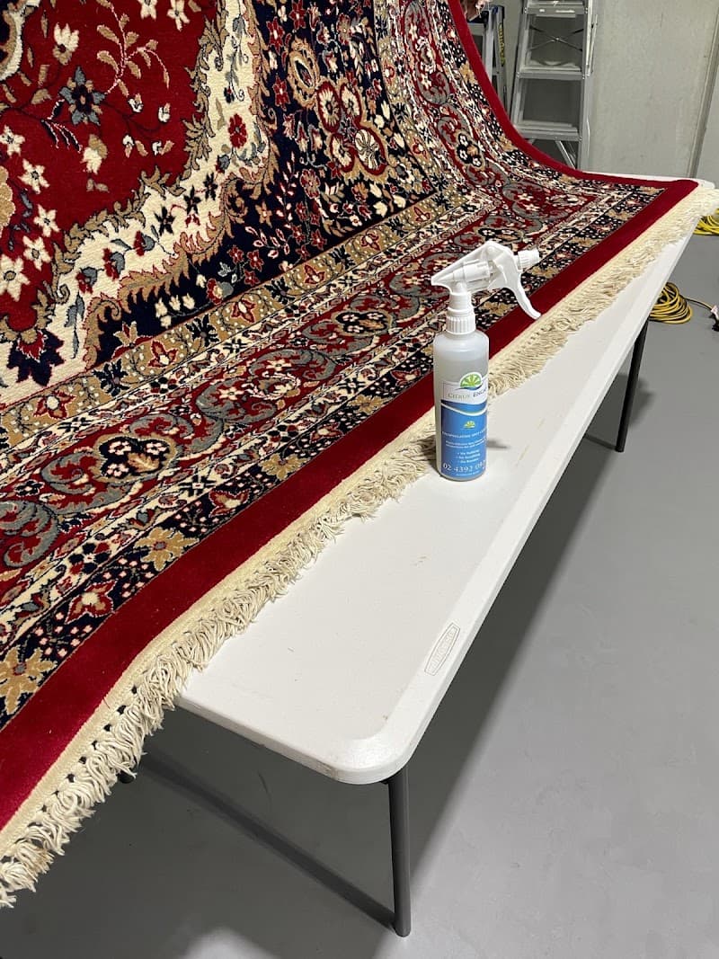 Citrus Clean Central Coast carpet cleaning work in Charmhaven