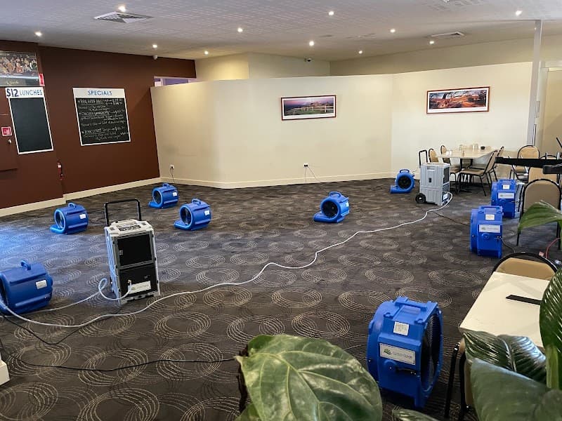 Citrus Clean Central Coast carpet cleaning work in Charmhaven