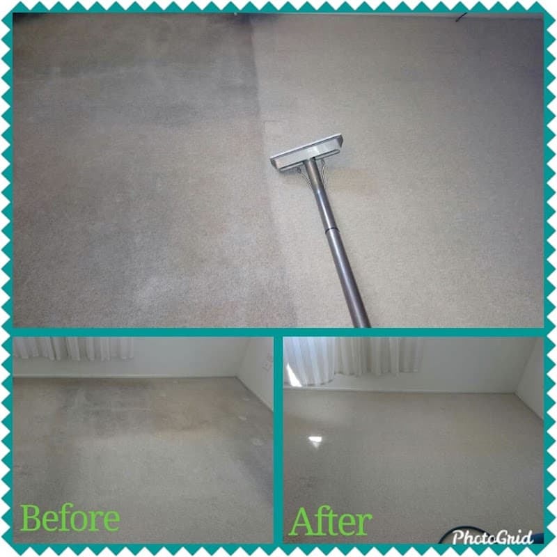 Classic Carpet Cleaning & Pest Control carpet cleaning work in Kepnock