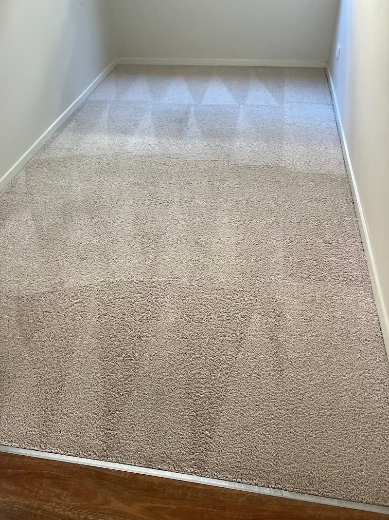 Clean as a Whistle carpet cleaning work in Soldiers Hill