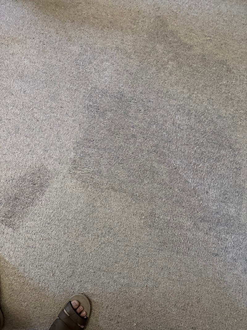 Clean as a Whistle carpet cleaning work in Soldiers Hill